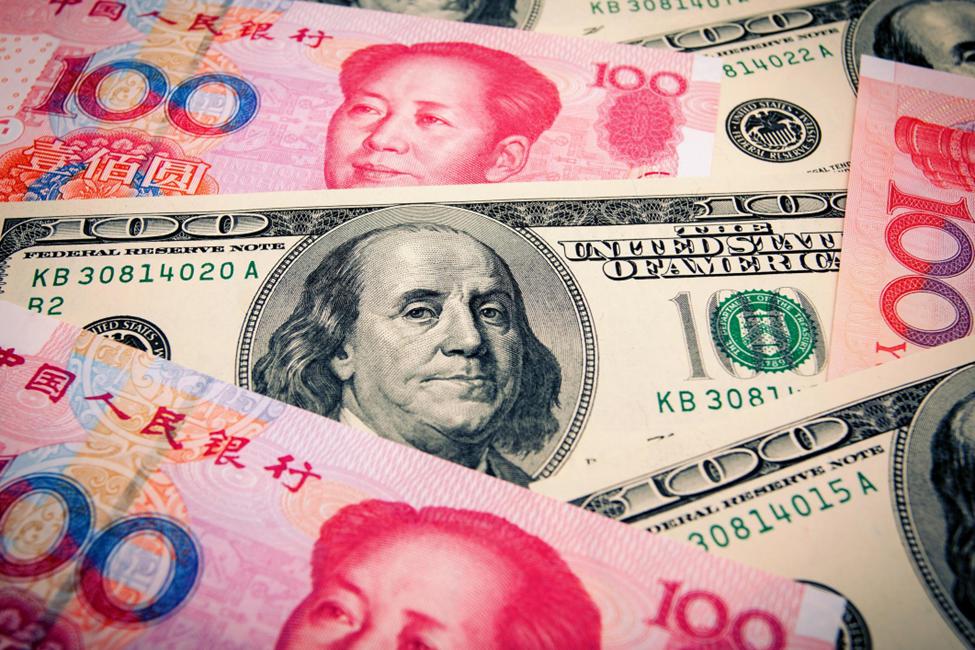 我市启用驾培公共服务平台
